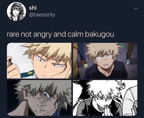 Write a letter to Bakugo - Quiz | Quotev