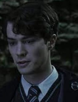 Have a Conversation With Tom Riddle and See What He Thinks of You ...