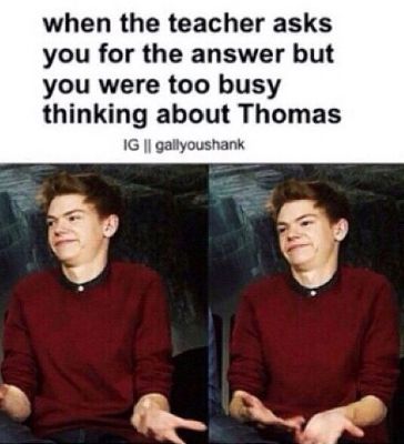 Couple Small Imagines 5 Thomas Sangster Imagines Quotev