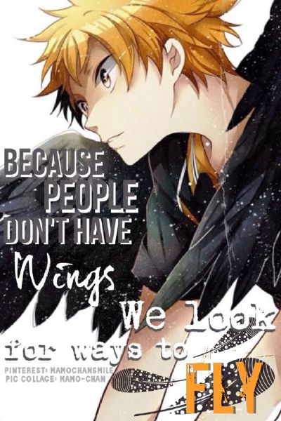 What it means to Fly — Haikyuu!! Finale Thoughts – We be bloggin