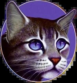 Examining Jayfeather and My Honest Opinion by Mistheart – BlogClan