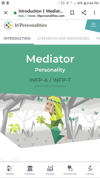 Introduction, INFP Personality (Mediator)