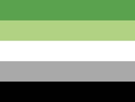 How many pride flags do you know? - Test | Quotev