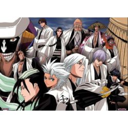 What Captain Is Your Bf/Gf (Bleach)? - ProProfs Quiz