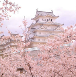 Create Your Dream Wedding Quiz Quotev