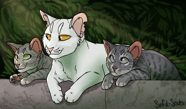 The psychology of Ashfur? Warrior Cats Analysis