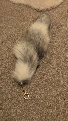 Therians and the Question of Real Tails