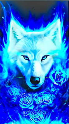 BlueMoonDireWolf | Quotev