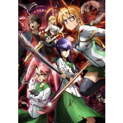  Highschool Of The Dead Takashi Komuro Poster Vintage