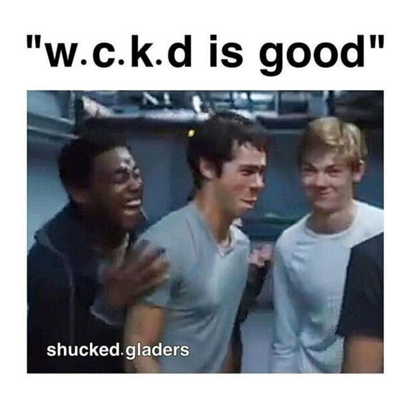 How Much Do You Know About The Maze Runner Test Quotev
