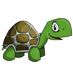 Are you turtle - Quiz | Quotev