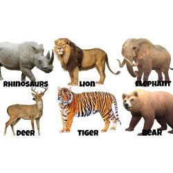 What animal resembles you - Quiz | Quotev