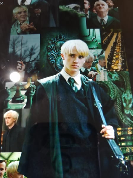 How well do you know Draco Malfoy (Short and Easy) - Test