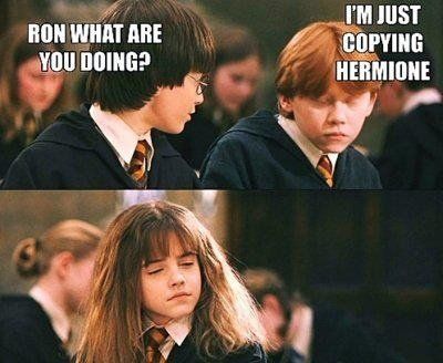 Harry Potter' Meme Retitles Books With Hermione Granger as the Lead