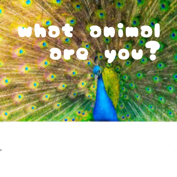 What animal are you? Quiz Quotev