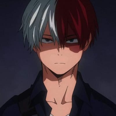 Do you know Shoto todoroki? - Test | Quotev