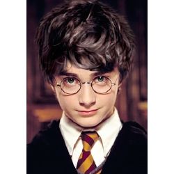 Harry potter best sale year 2