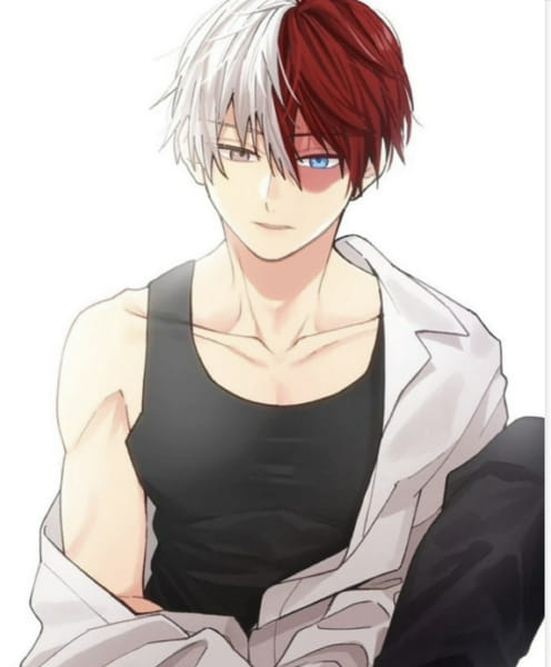 How Well Do You Know Todoroki Shoto ? - Test | Quotev