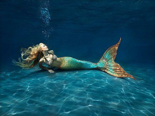 Tails On Screen series : Mako Mermaids : Zack by RaxaMermaid on