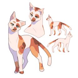 MD characters but as warrior cats