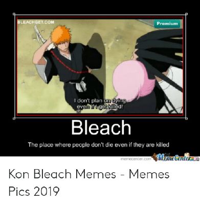 Anime memes  Bleach  Wattpad