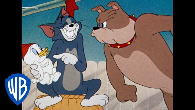 Tom & Jerry | Classic Cartoon Compilation | Tom, Jerry, & Spike | The  Random Video | Quotev