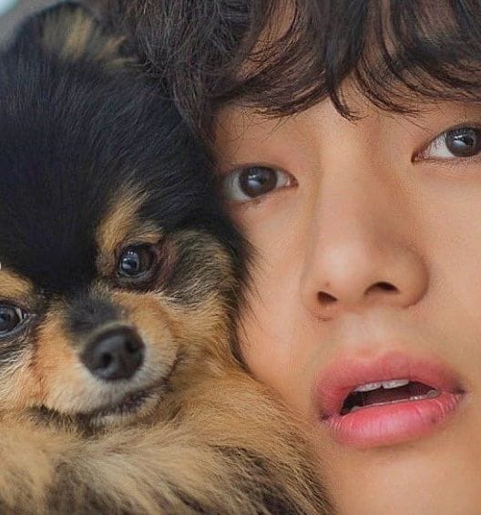 you were caught holding hands with another idol Quiz Quotev