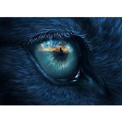 What is your wolf eye color - Quiz | Quotev