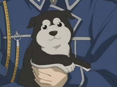 Image result for fullmetal alchemist brotherhood hawkeye dog