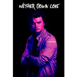 Joe Keery Fanfiction Stories