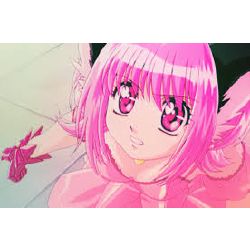 We Love Tokyo Mew - Mew ( Mew - Mew Power ) Indonesia Fan Club