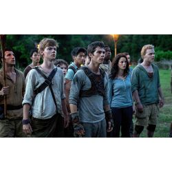 Your maze runner life (your life in the glade) (the maze runner) - Quiz ...