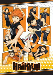 100% Fun Quiz: Which Haikyuu Character Are You?