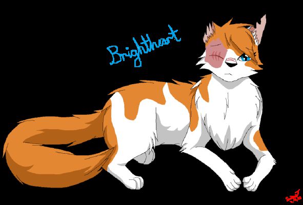 kiss-marry-or-kill-cough-warrior-cats-cough-edition-quiz-quotev