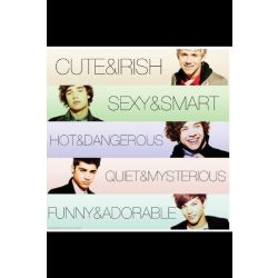 How Well Do U Know One Direction Test