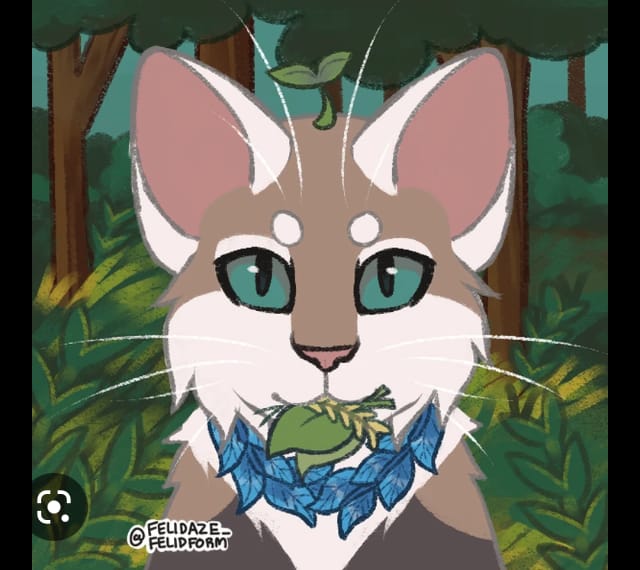 Warriors cats life!! Quiz Quotev