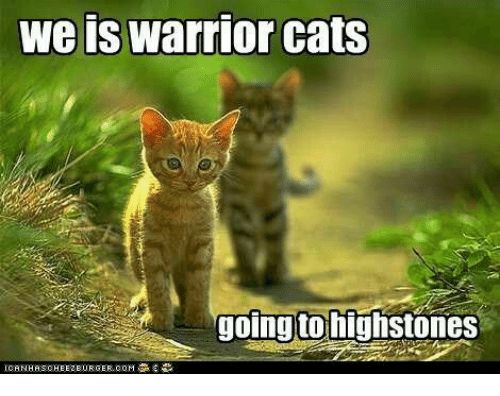 Moto Moto meme (Warrior Cats) 