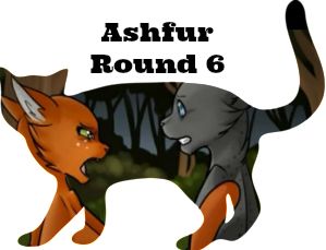 Ashfur!, Warrior Cats Got Talent!