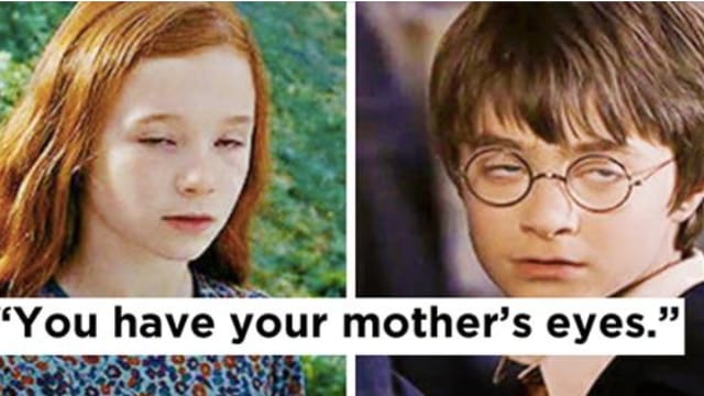 Harry Potter ⚡ memes - Harry y Snape - Wattpad