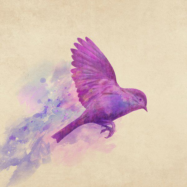 Flying magenta