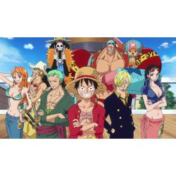 Sleepover with the One Piece crew! - Quiz