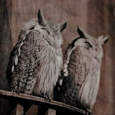 Live like a magical soul and I'll reveal where you haunt - Quiz | Quotev