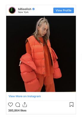 How Well Do You Know Billie Eilish Test Quotev