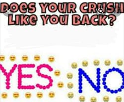 Does Your Crush Like You Back Quiz Quotev   Lpalfgcbnj4a 