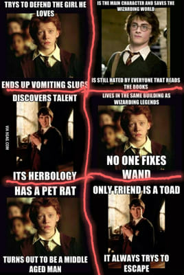 Poor Harry Potter characters | Random memes (Twilight, Harry Potter, Hunger  Games, Brooklyn 99, OUAT -Once Upon A Time) | Quotev