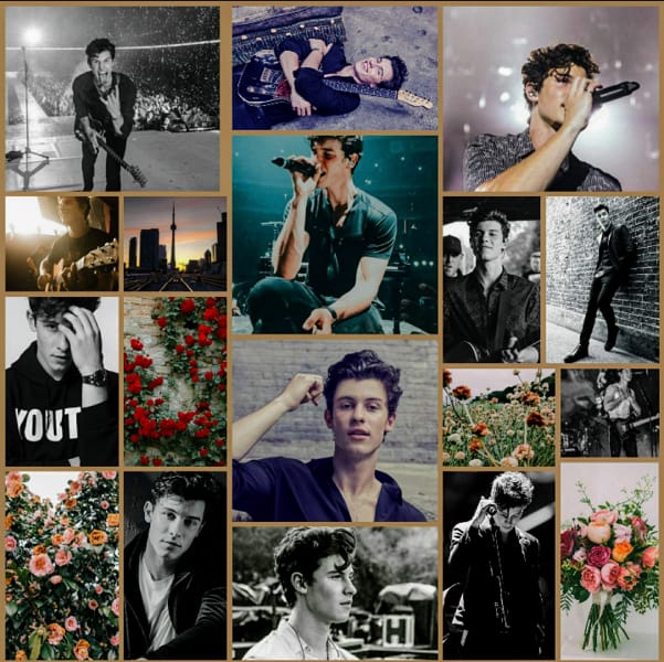 Shawn Mendes Lyrics Quiz Test Quotev
