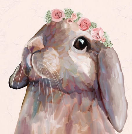 Bunny | Quotev