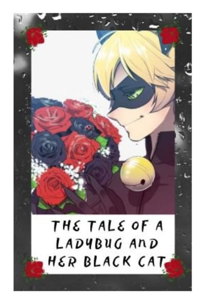 A miraculous rose - Ch.1 Cat Noir and Ladybug: A documentary - Wattpad