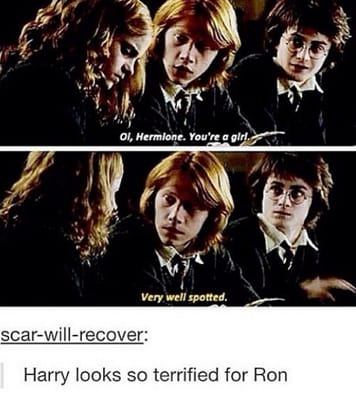 A humorous harry potter meme with ron weasley and hermione granger