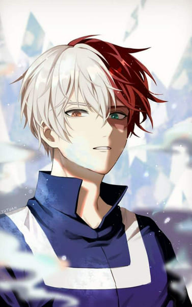 How well do you know Shoto Todoroki? - Test